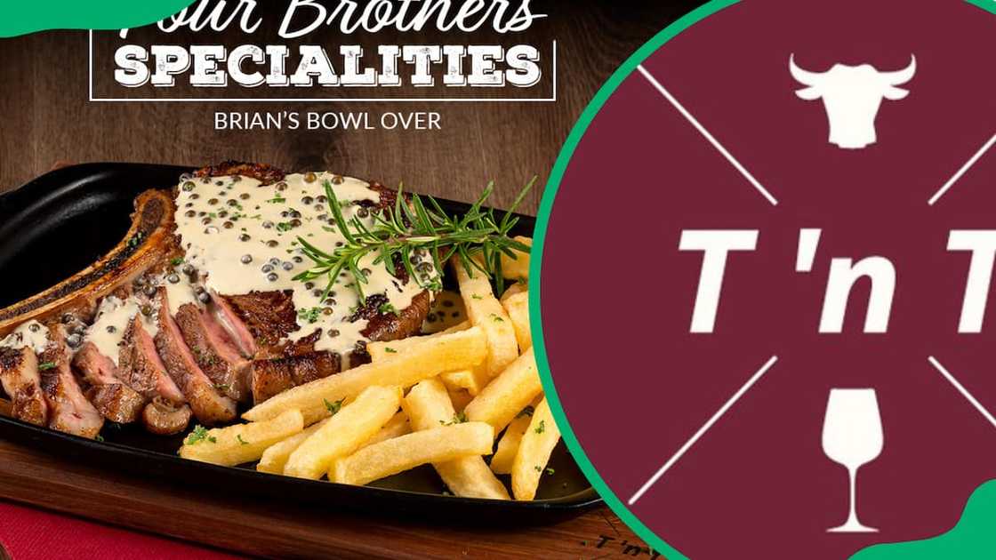 Turn 'n Tender menu item fries with steak and the official logo Turn 'n Tender menu item fries with steak and the official logo