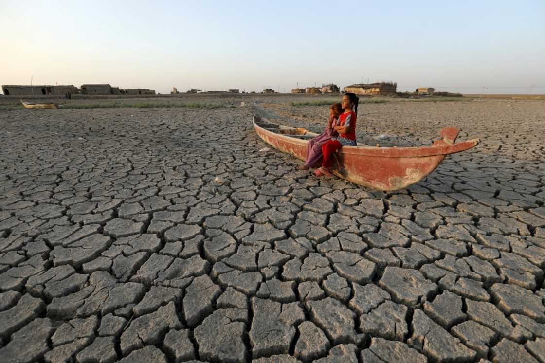 The researchers' tool measures the likelihood that unusually warm weather at a specific location on any given day is due to climate change