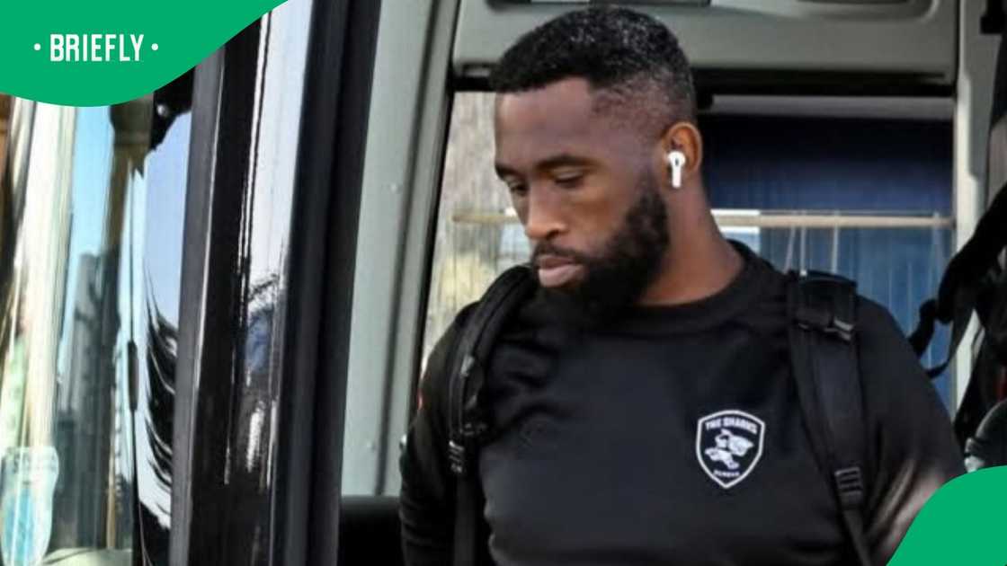 Springboks, Siya Kolisi, Sharks