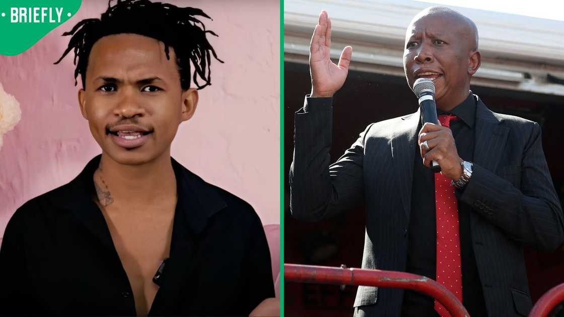 Julius Malema wants Musa Khawula to be jailed or fined R150,000 Julius Malema wants Musa Khawula to be jailed or fined R150,000