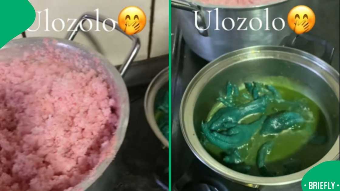 A playful twist on traditional pap and chicken feet left TikTok users amused and shocked A playful twist on traditional pap and chicken feet left TikTok users amused and shocked
