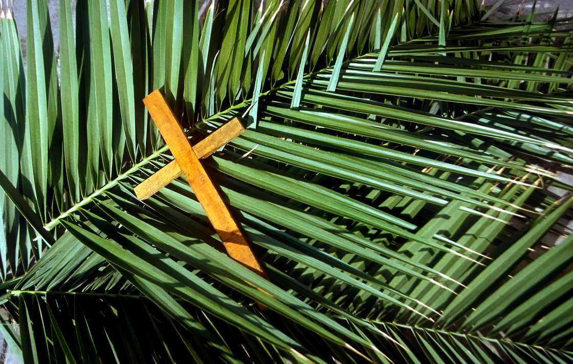 Wooden cross on palm leaves, Palm Sunday.