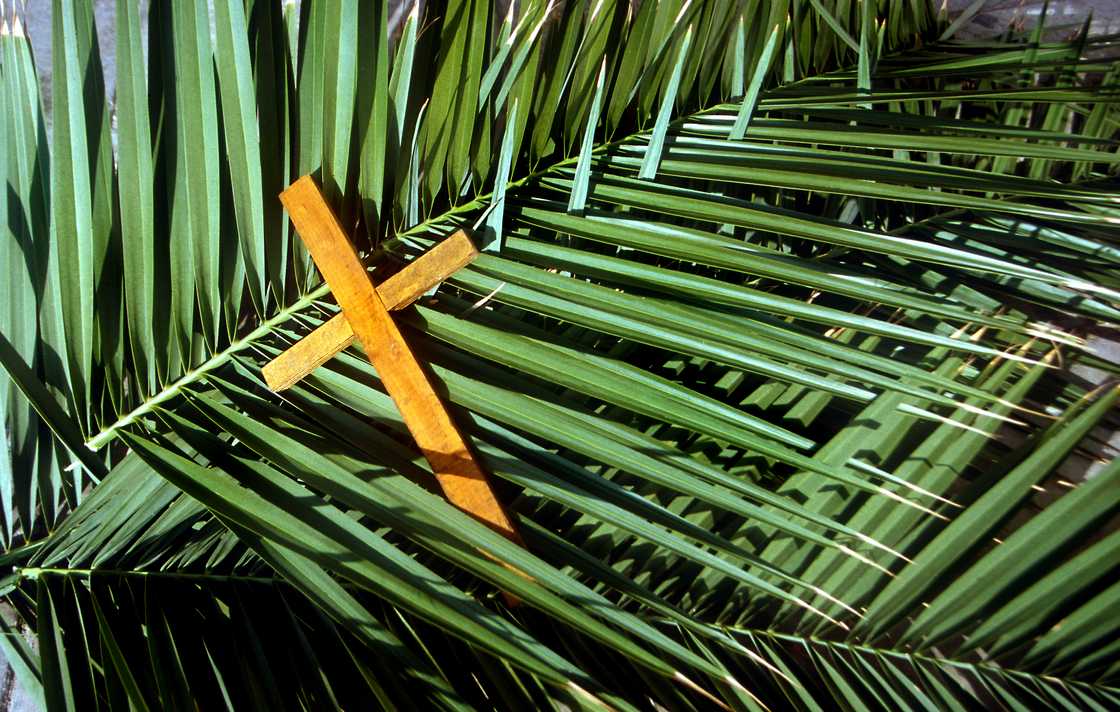 Wooden cross on palm leaves, Palm Sunday. Wooden cross on palm leaves, Palm Sunday.