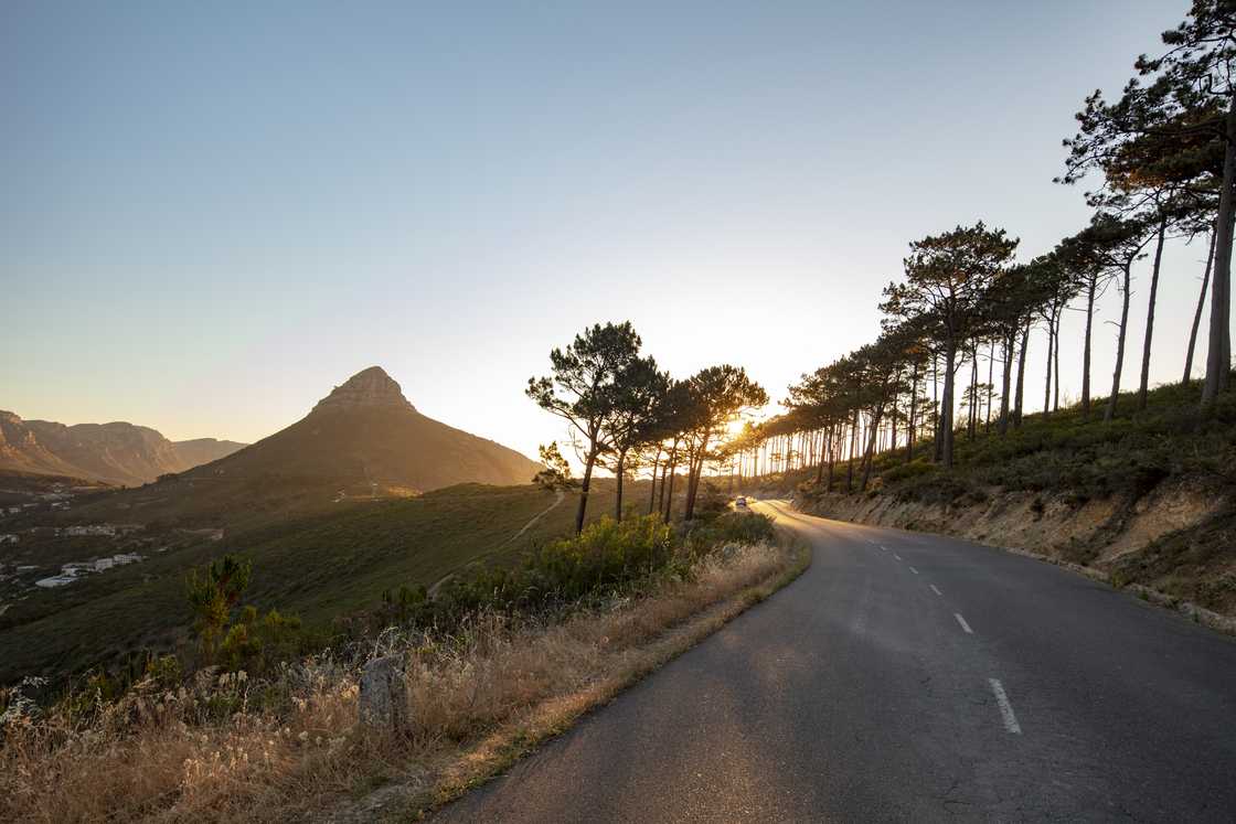A photo of Signal Hill.