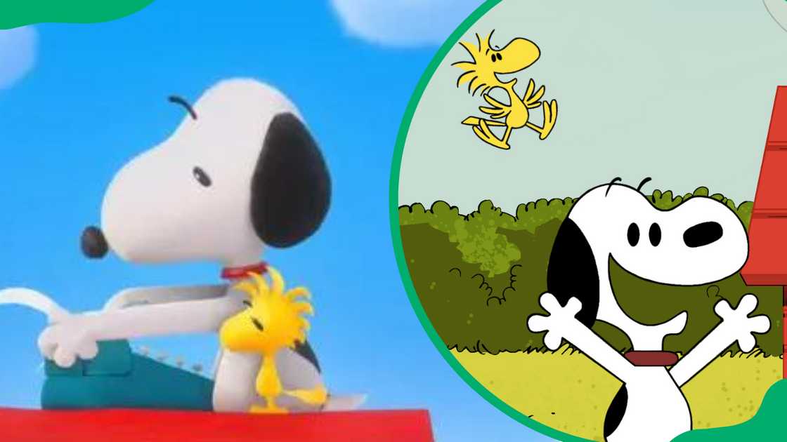 Snoopy and Woodstock