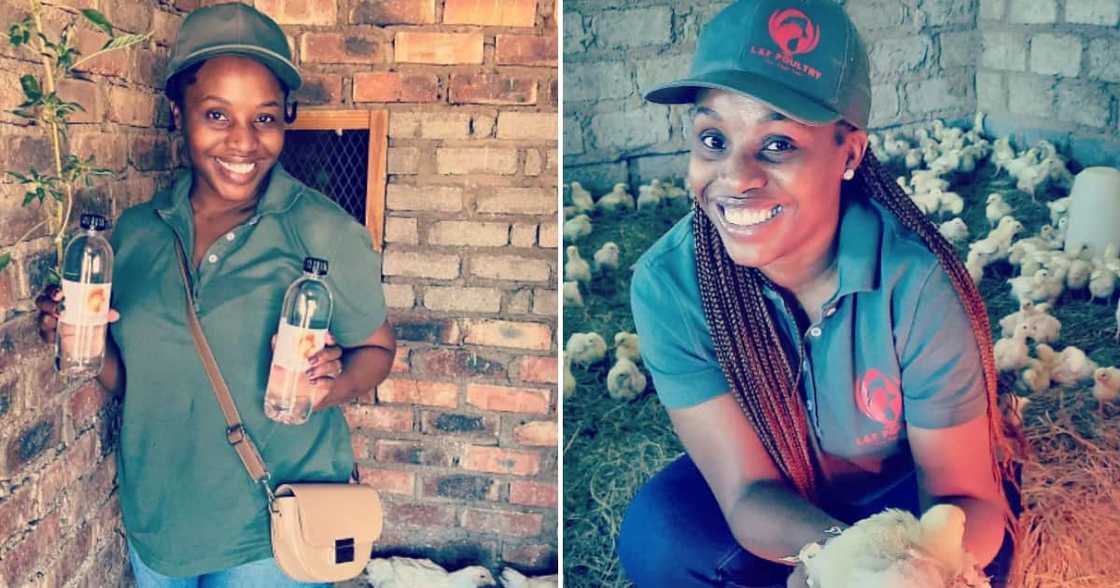 Pretoria female farmer has challenges with her business Pretoria female farmer has challenges with her business