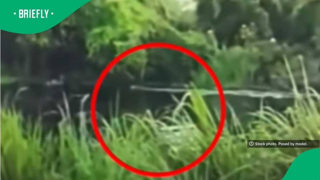 The visual was captured during a police shase