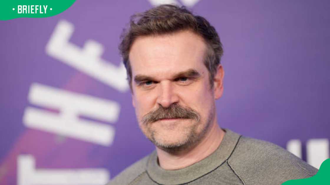 David Harbour at SNL50: The Homecoming Concert