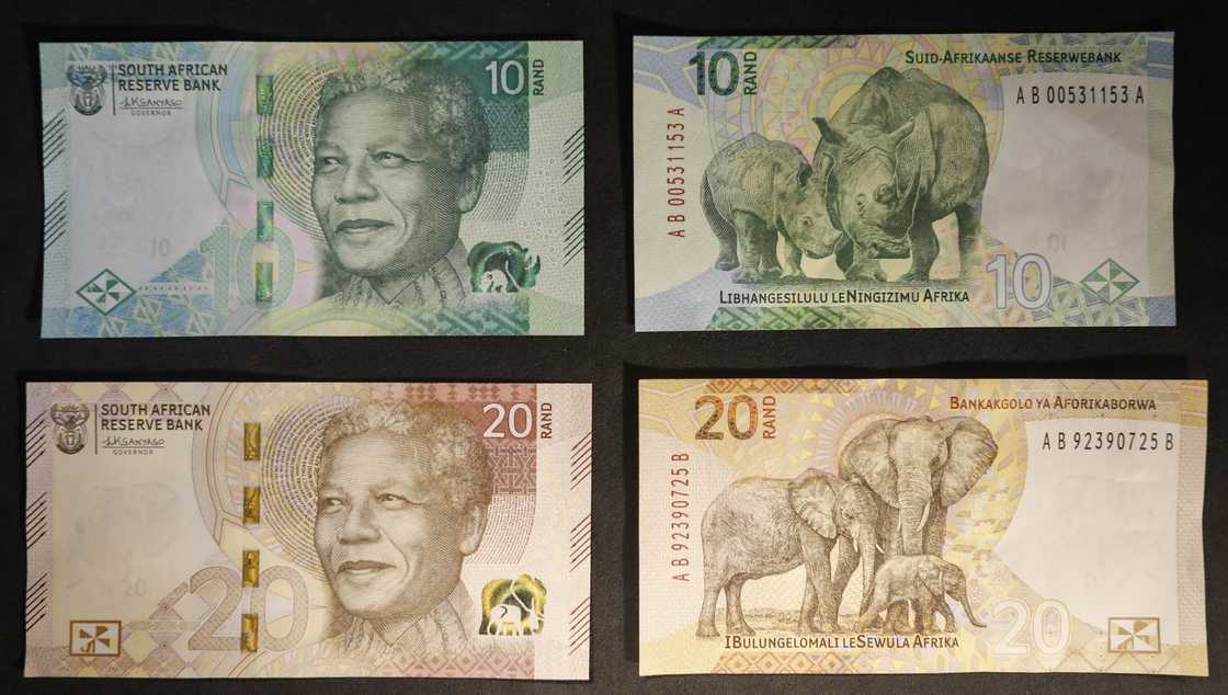 A man's children cut up his banknotes for homework A man's children cut up his banknotes for homework