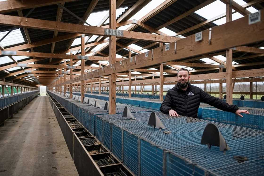 Thomas Jeppesen will produce beer at a former mink farm in Holstebro, Denmark Thomas Jeppesen will produce beer at a former mink farm in Holstebro, Denmark