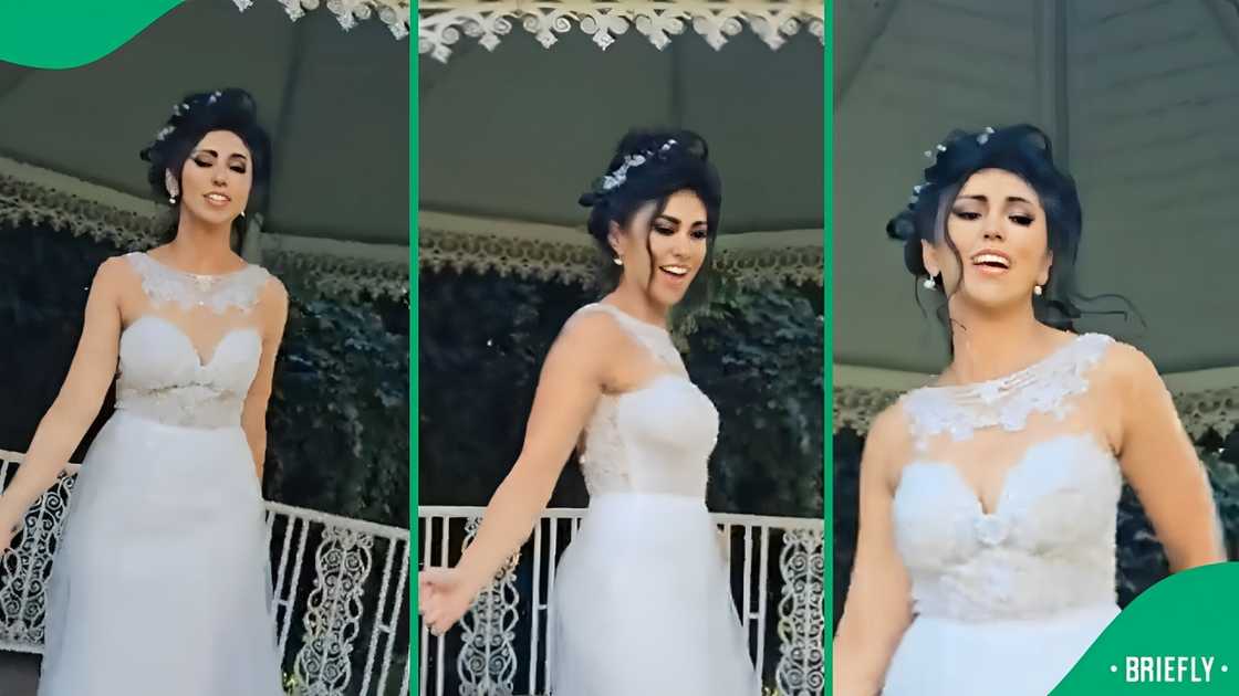 An Afrikaner woman’s 'Vuli Ndlela' rendition at a wedding left Mzansi gushing with pride. An Afrikaner woman’s 'Vuli Ndlela' rendition at a wedding left Mzansi gushing with pride.