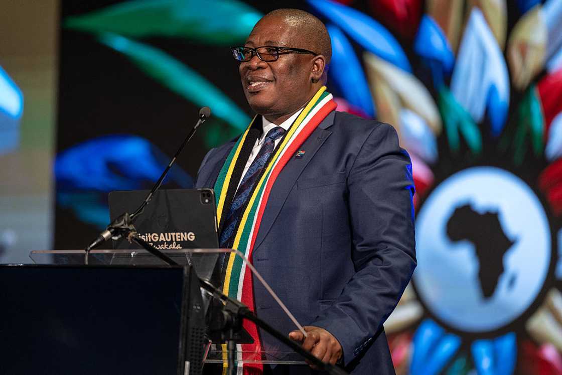 Panyaza Lesufi said the government did not handle the pressure of foreign nationals on government system