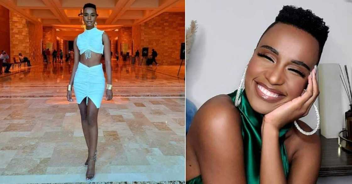 zozi, beauty, hair, african,stunning, blue, white, miss sa, fashion, tunsi, cape town zozi, beauty, hair, african,stunning, blue, white, miss sa, fashion, tunsi, cape town