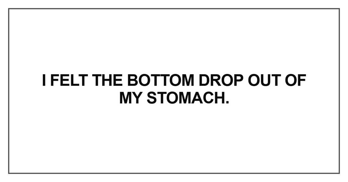 I felt the bottom drop out of my stomach I felt the bottom drop out of my stomach