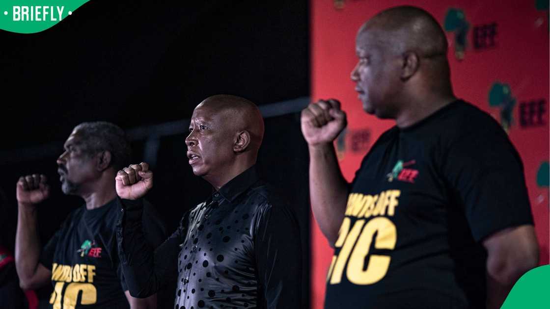The EFF is considering taking legal action against Vusi Shongwe The EFF is considering taking legal action against Vusi Shongwe