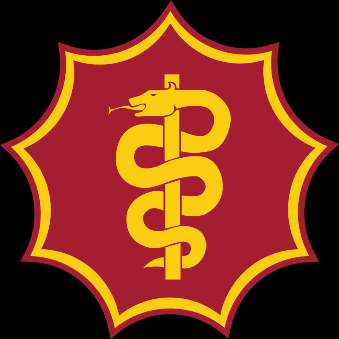 The South African Military Health Service The South African Military Health Service