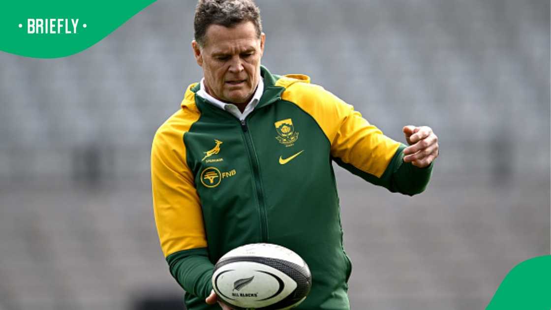Rassie Erasmus, South Africa, Springboks, New Zealand. Rassie Erasmus, South Africa, Springboks, New Zealand.