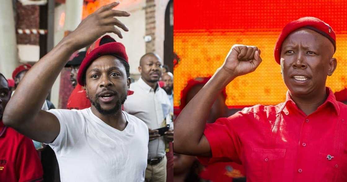 Julius Malema and Mbuyiseni Ndlozi back in court for 2018 assault case Julius Malema and Mbuyiseni Ndlozi back in court for 2018 assault case