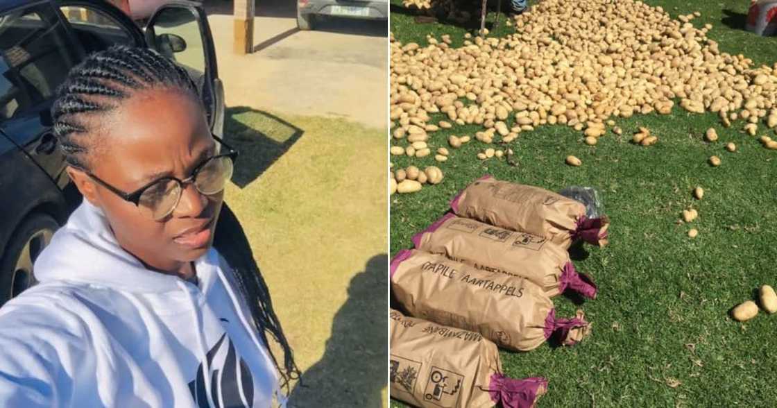 Businesswoman, social media, Mzansi, South Africa, potatoes, blessings, prayer Businesswoman, social media, Mzansi, South Africa, potatoes, blessings, prayer