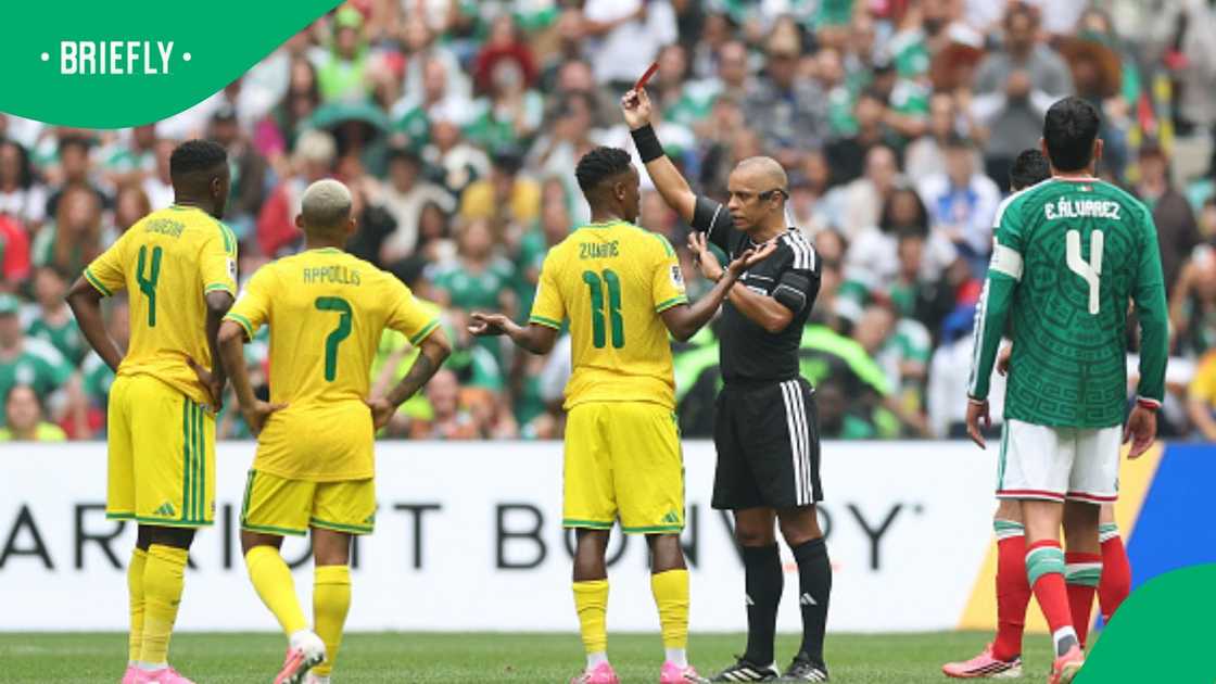 Bafana Bafana, South Africa, FIFA World Cup, Themba Zwane Bafana Bafana, South Africa, FIFA World Cup, Themba Zwane