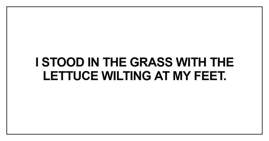 I stood in the grass with the lettuce I stood in the grass with the lettuce