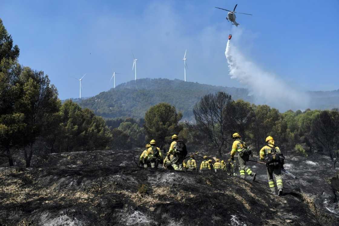 This year's fires in Spain have already destroyed more than three times the area consumed by wildfires in 2021 This year's fires in Spain have already destroyed more than three times the area consumed by wildfires in 2021