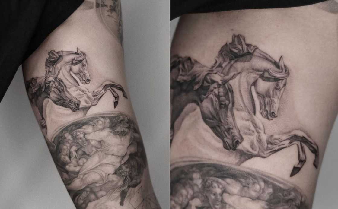 Two horses Two horses