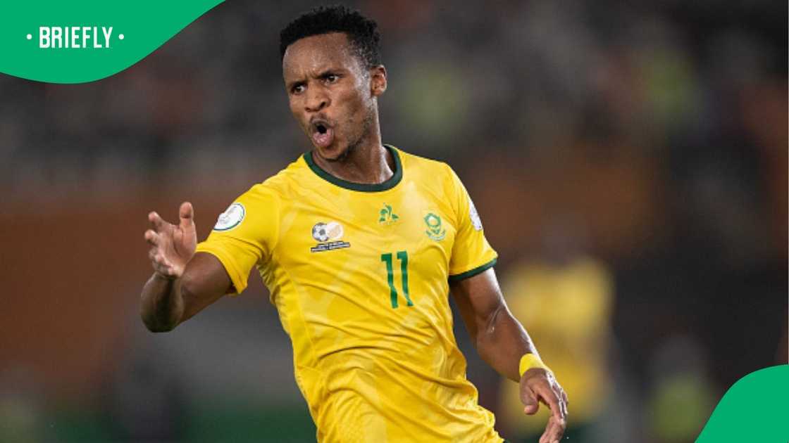 Themba Zwane, Africa Cup of Nations, South Africa, DR Congo.