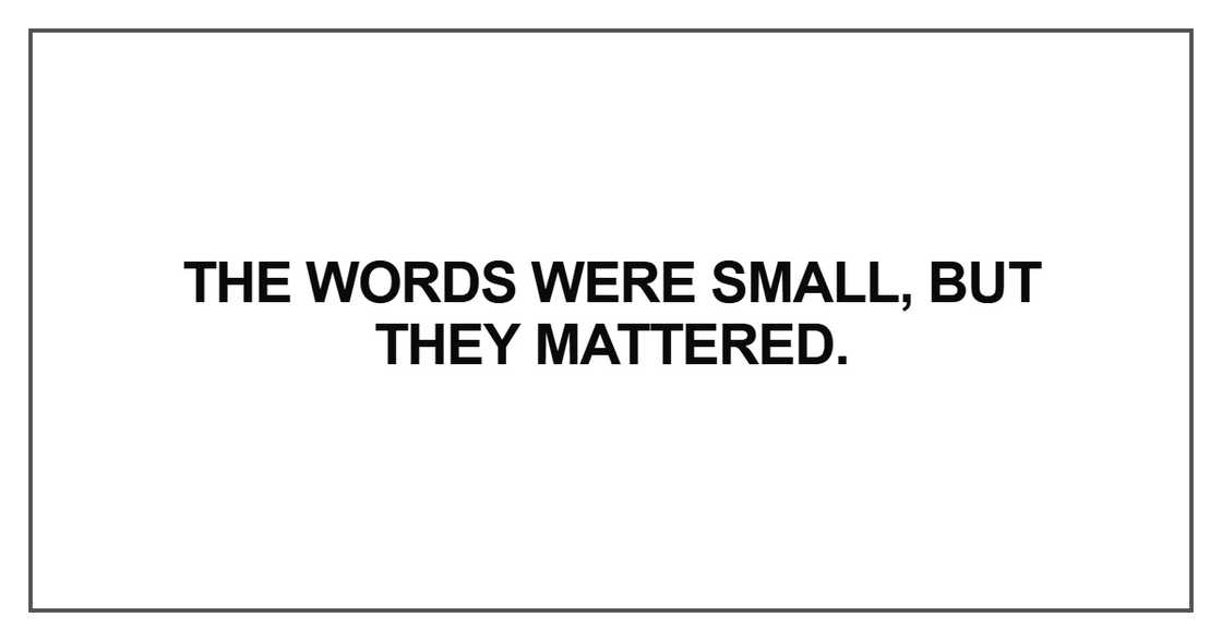 The words were small The words were small