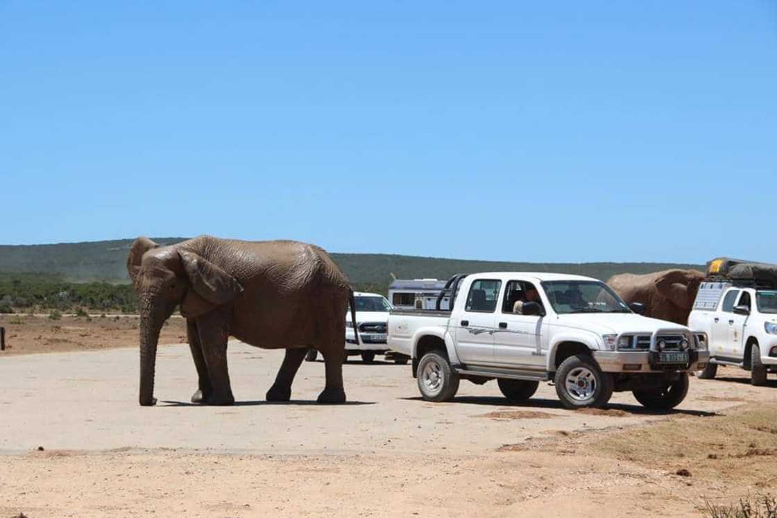 List of travel agencies in South Africa List of travel agencies in South Africa