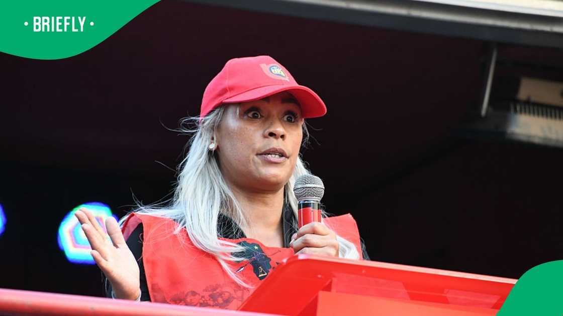 Economic Freedom Fighters' MP Leigh-Ann Mathys rejected the suggestion that the Ad Hoc Committee should use Parliament's legl services