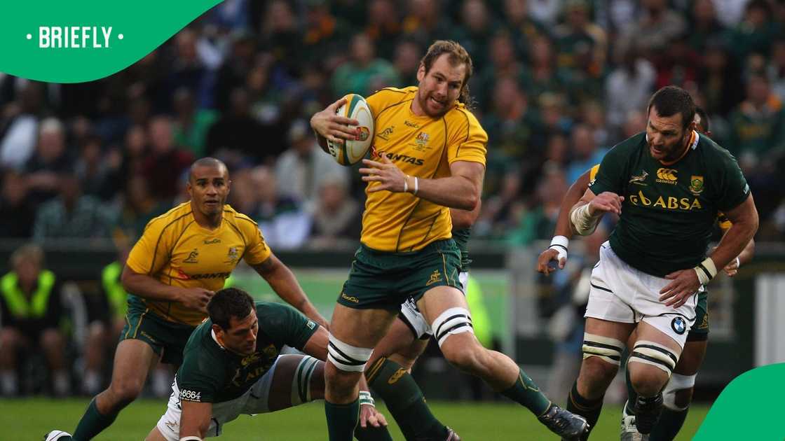 Wallabies, Australia, Rocky Elsom, Kings Park Stadium Wallabies, Australia, Rocky Elsom, Kings Park Stadium