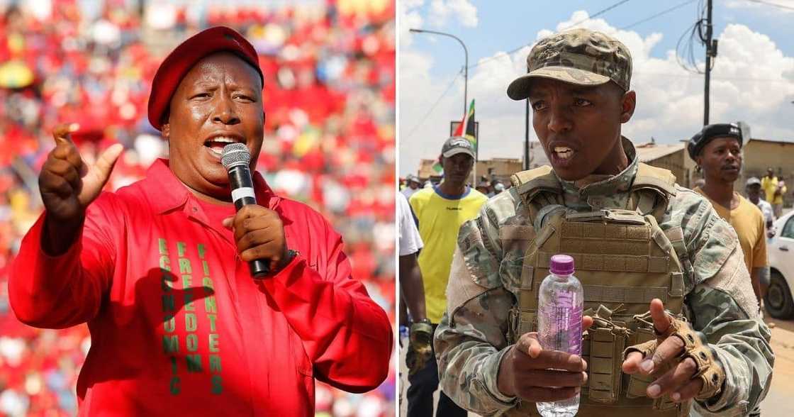 South Africans, compare, EFF, Julius Malema, Nhlanhla Lux Dlamini, Operation Dudula