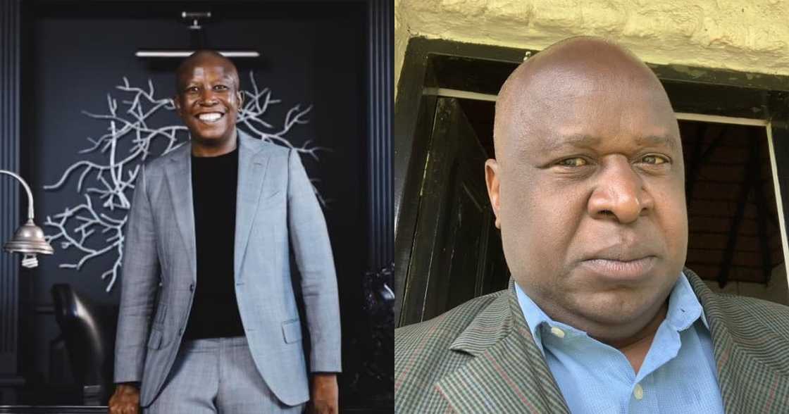 Malema Starts Monday off by Taking a Jab at Mboweni and His Bald Head Malema Starts Monday off by Taking a Jab at Mboweni and His Bald Head