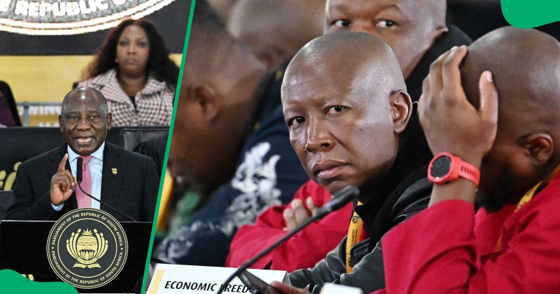 President Cyril Ramaphosa called Julius Malema out during a debate President Cyril Ramaphosa called Julius Malema out during a debate