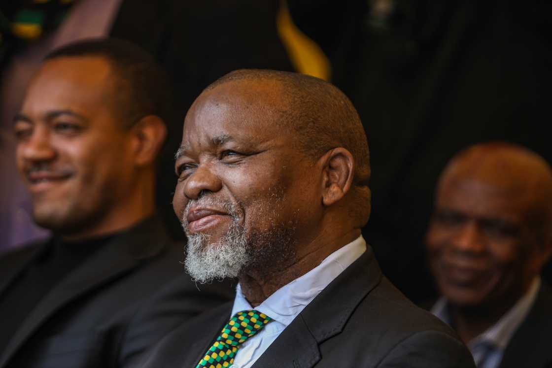 Gwede Mantashe has been criticised for contradicting government Gwede Mantashe has been criticised for contradicting government