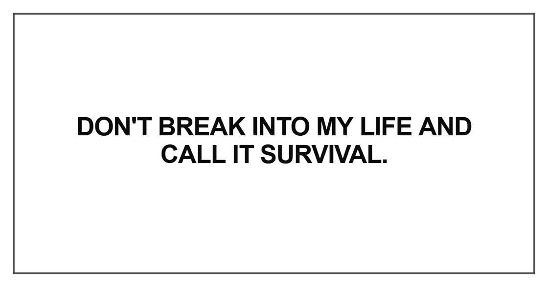 Don't break into my life and call it survival Don't break into my life and call it survival