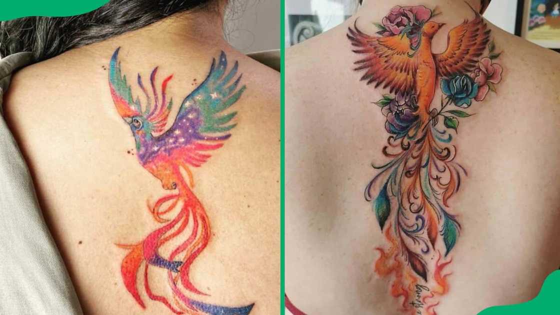 Coloured phoenix tattoo on the back Coloured phoenix tattoo on the back