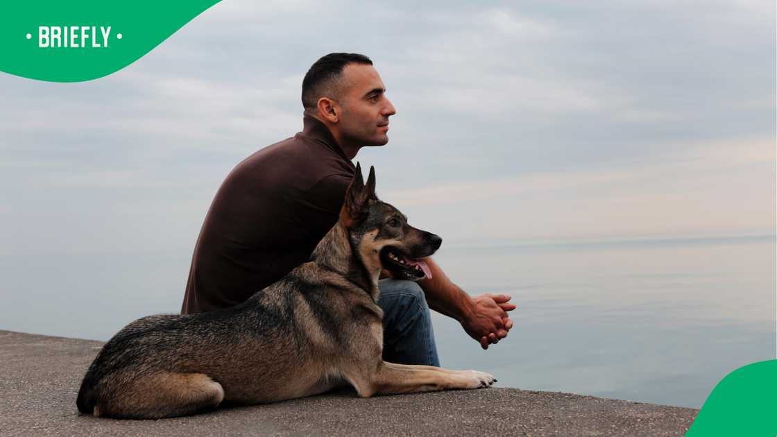 Malawian man’s emotional plea to reunite with dog prompts SA rescue intervention Malawian man’s emotional plea to reunite with dog prompts SA rescue intervention