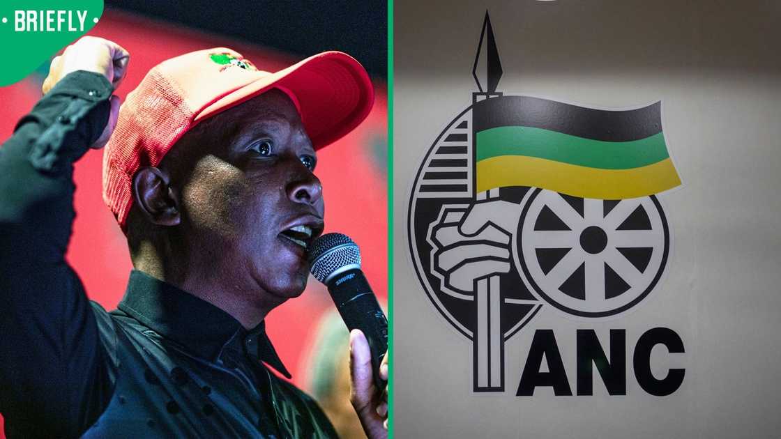 Julius Malema is not impressed with the ANC in Gauteng