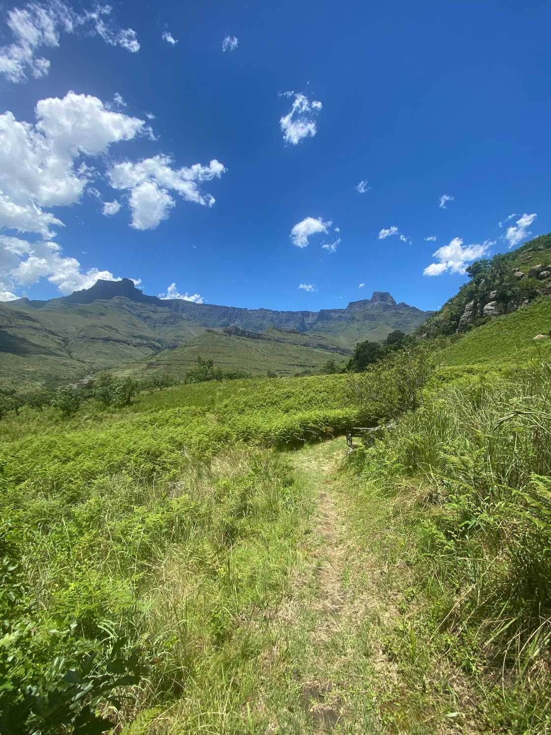 American proves husband is from KZN South Coast