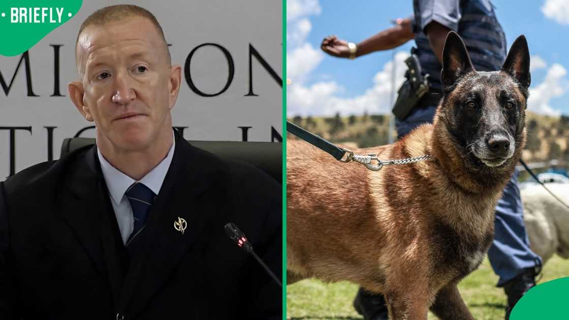 Warrant Officer Sander wants to use part of the money raised for him to get narcotic dogs Warrant Officer Sander wants to use part of the money raised for him to get narcotic dogs
