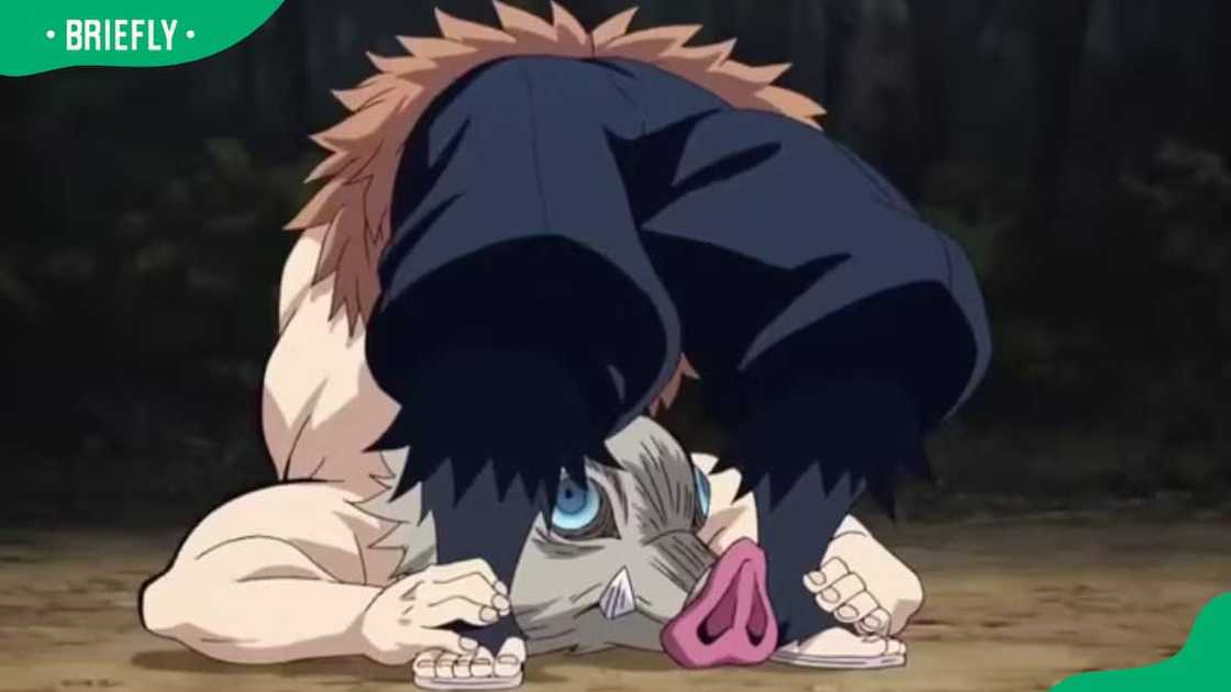 Inosuke showing his flexibity Inosuke showing his flexibity