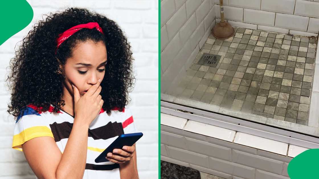 A woman showed her filthy rental apartment A woman showed her filthy rental apartment