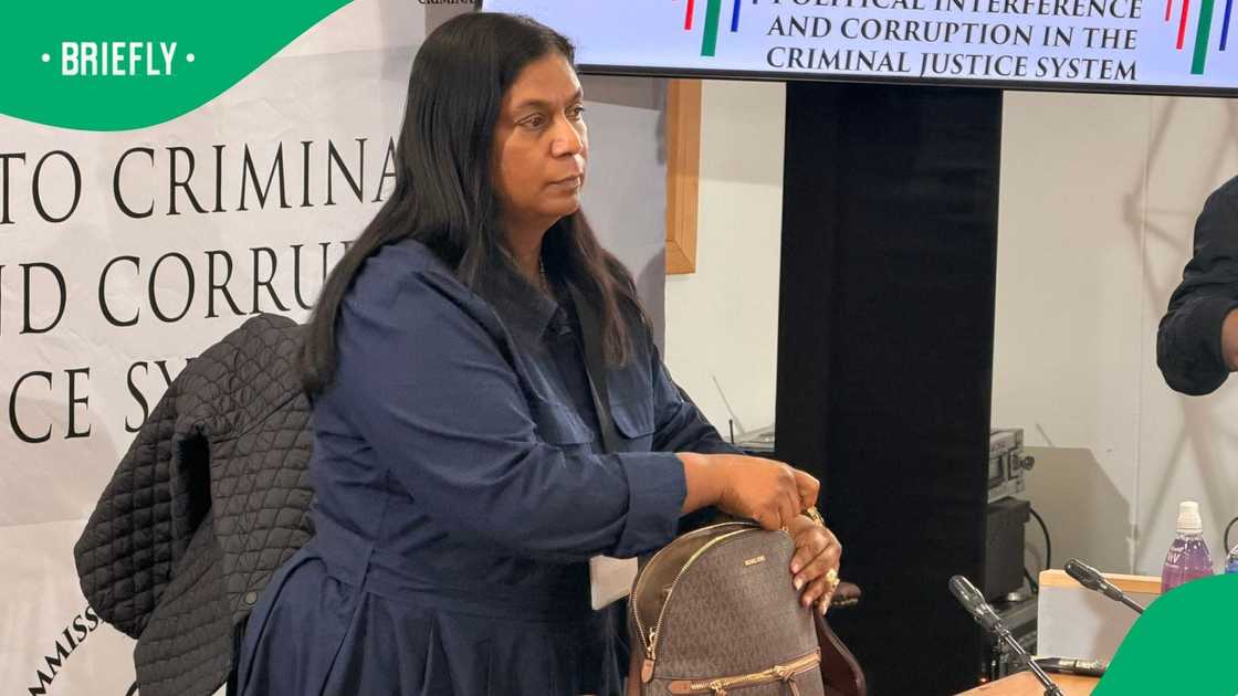 IDAC head Andrea Johnson was slammed for admitting that she approved Brigadier Dineo Mokwele's arrest without checking her CV