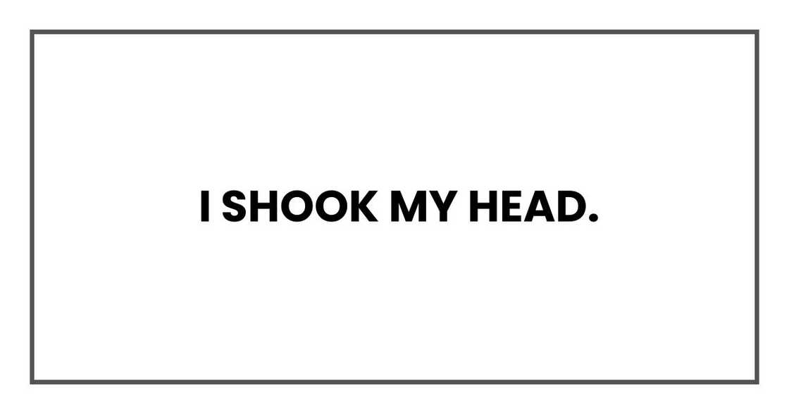 I shook my head. I shook my head.