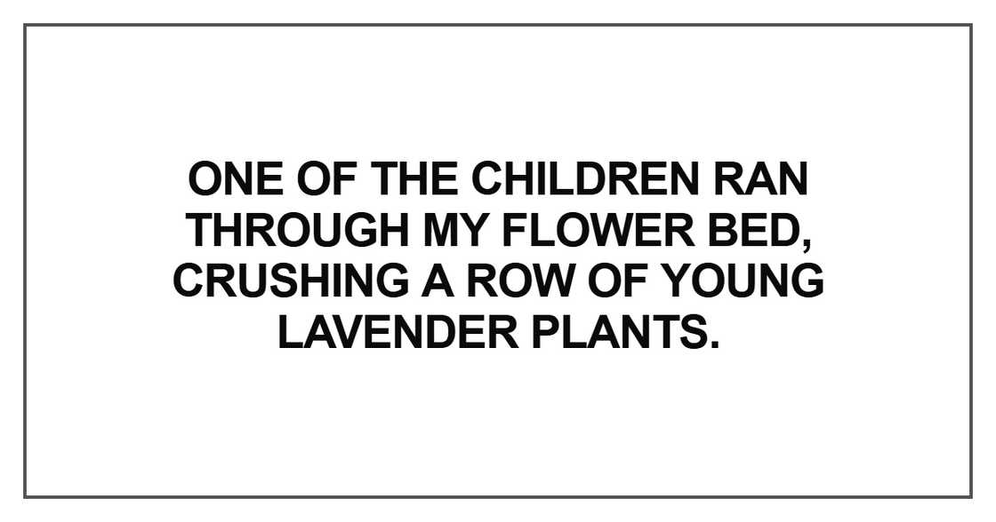 One of the children ran through my flower bed One of the children ran through my flower bed