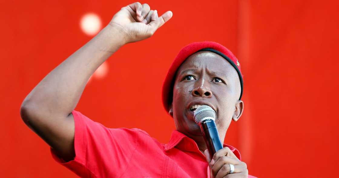 EFF, Economic Freedom Fighters, Julius Malema, Labour Department, restaurant inspection, labour law, employment