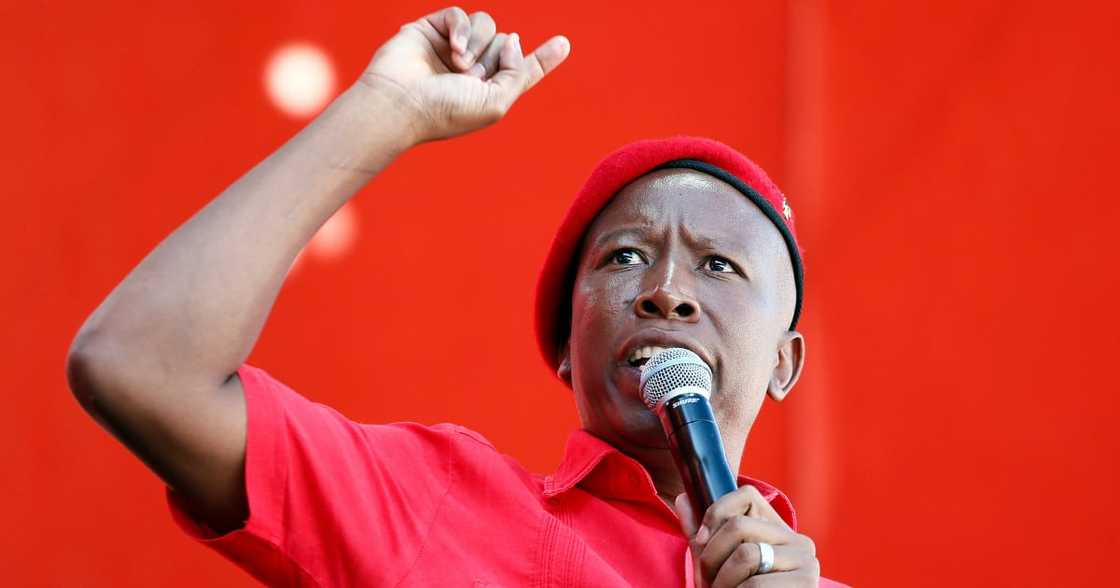 EFF, Economic Freedom Fighters, Julius Malema, Labour Department, restaurant inspection, labour law, employment EFF, Economic Freedom Fighters, Julius Malema, Labour Department, restaurant inspection, labour law, employment