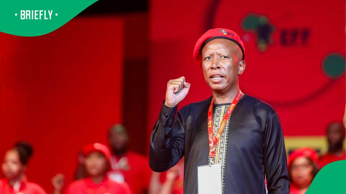 Julius Malema weighed in on the USA"s decision to cut funding to SA